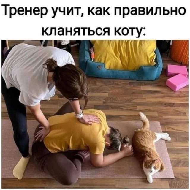 Лучшие шутки и мемы из Сети - 26.09.2025
