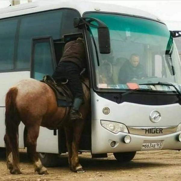 Подборка картинок. Вечерний выпуск - 26.09.2025 Подборка картинок. Вечерний выпуск - 26.09.2025