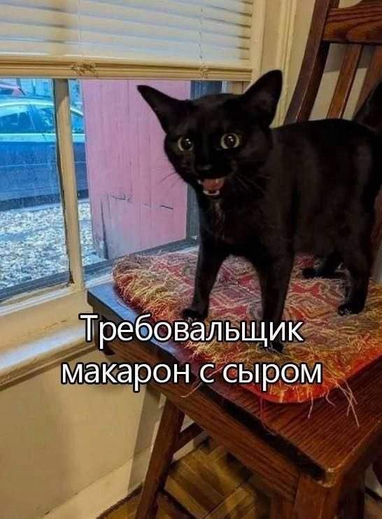 Лучшие шутки и мемы из Сети - 29.09.2025