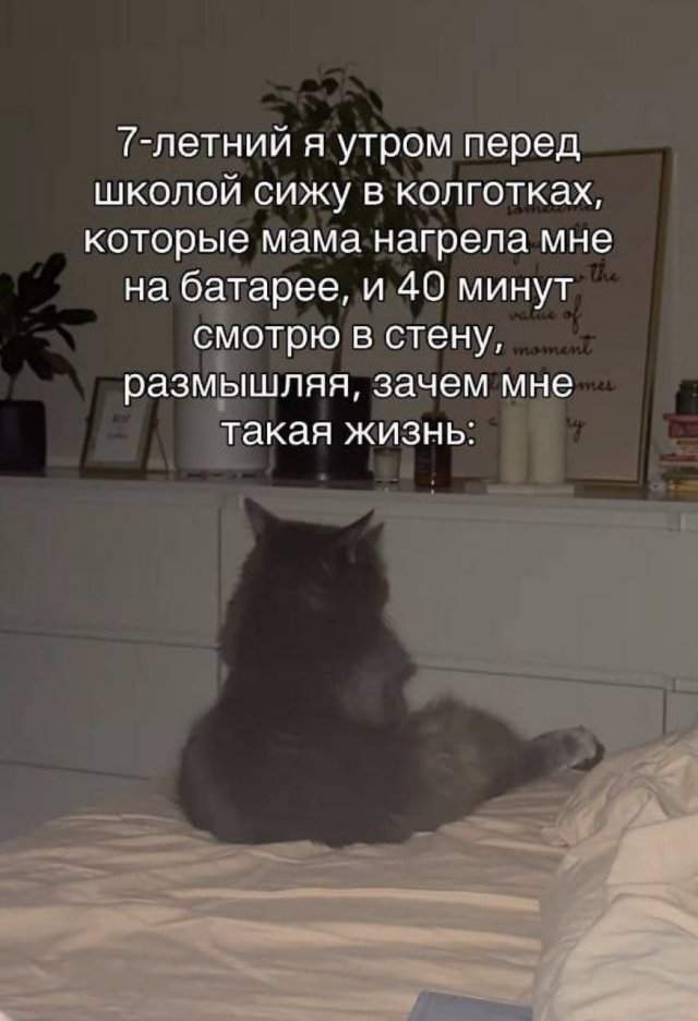 Лучшие шутки и мемы из Сети - 29.09.2025