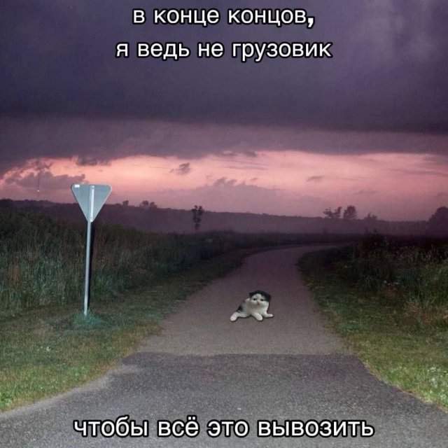 Лучшие шутки и мемы из Сети - 29.09.2025