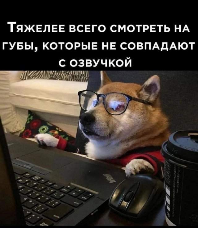 Смешные мемы - 30.09.2025 Смешные мемы - 30.09.2025