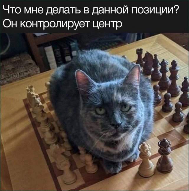 Смешные мемы - 30.09.2025 Смешные мемы - 30.09.2025