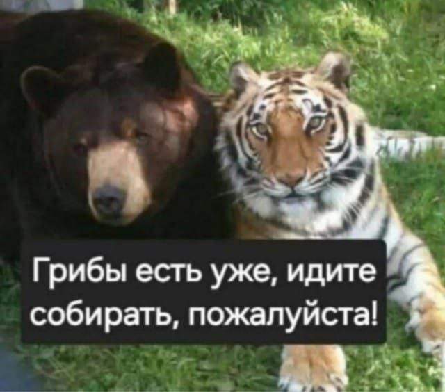 Лучшие шутки и мемы из Сети - 30.09.2025 Лучшие шутки и мемы из Сети - 30.09.2025