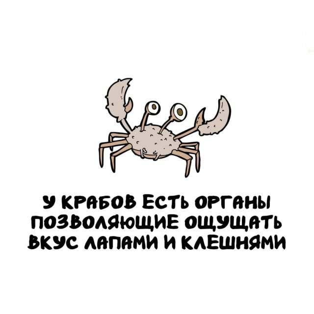 Интересные факты на все случаи жизни