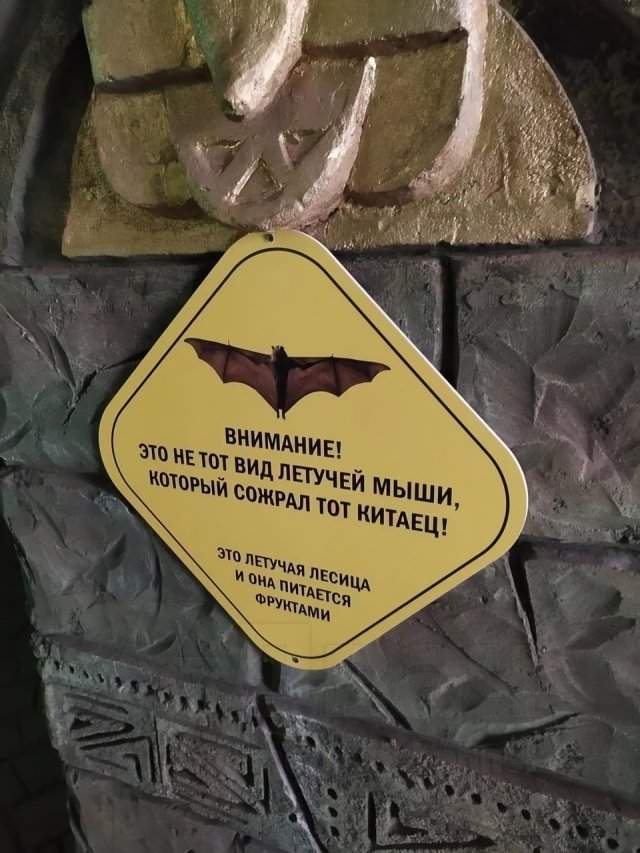 Смешные и доходчивые предупреждения в зоопарке