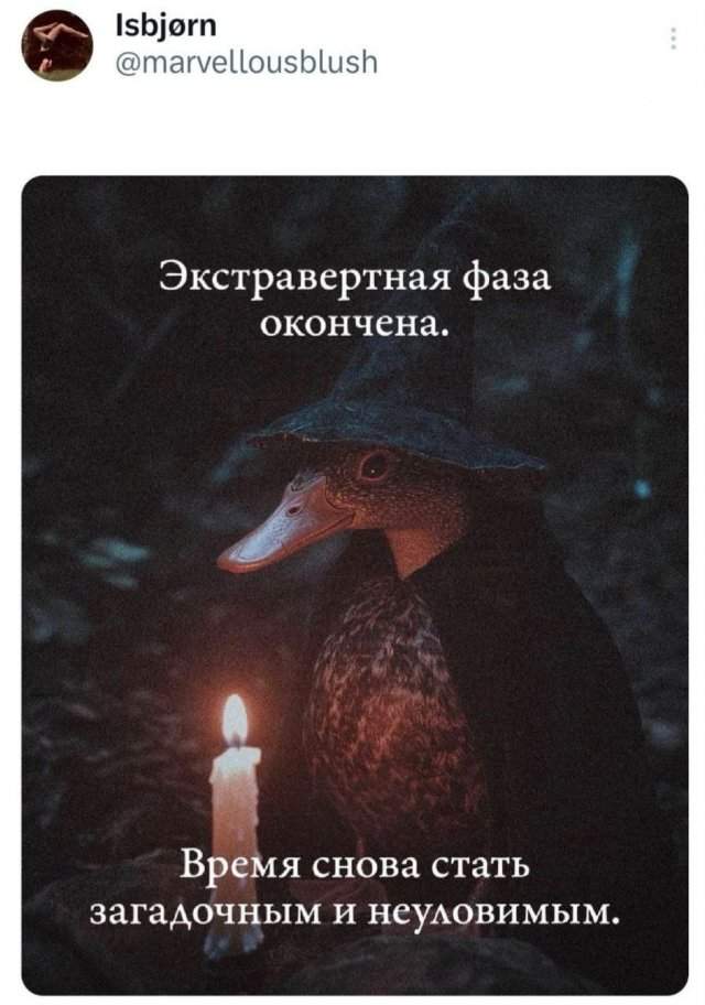 Подборка забавных твитов обо всем