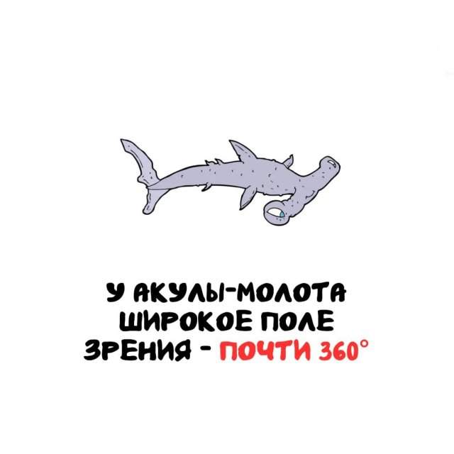 Интересные факты на все случаи жизни