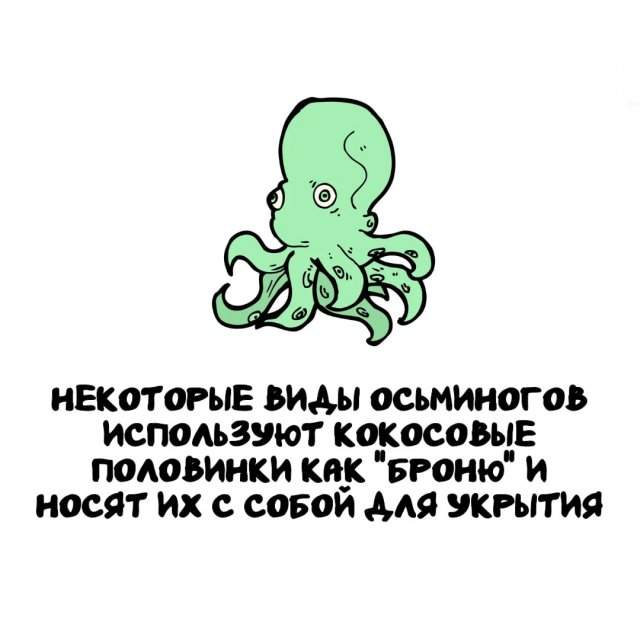Интересные факты на все случаи жизни