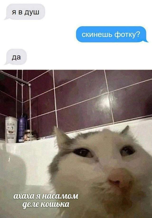 Лучшие шутки и мемы из Сети - 03.10.2025