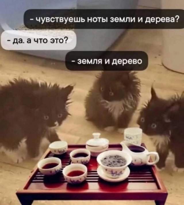 Лучшие шутки и мемы из Сети - 03.10.2025