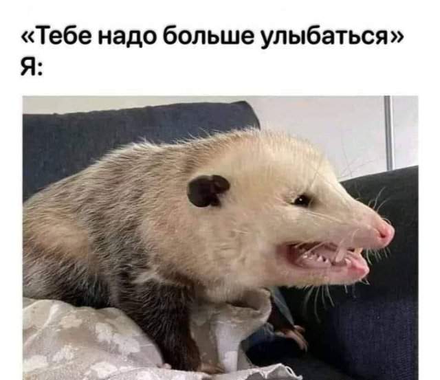 Смешные мемы - 06.10.2025 Смешные мемы - 06.10.2025