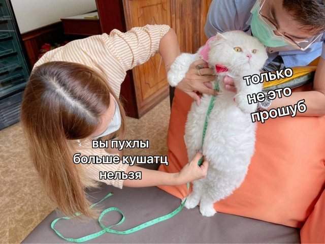 Смешные мемы - 06.10.2025 Смешные мемы - 06.10.2025