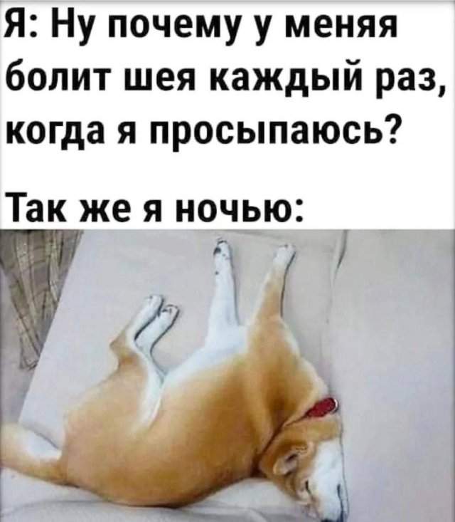 Смешные картинки - 06.10.2025 Смешные картинки - 06.10.2025