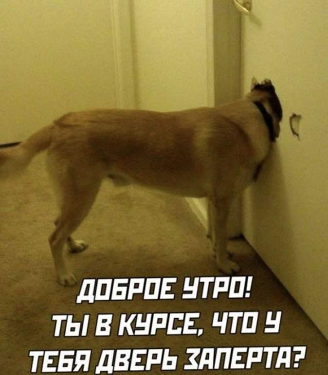 Смешные картинки - 06.10.2025 Смешные картинки - 06.10.2025