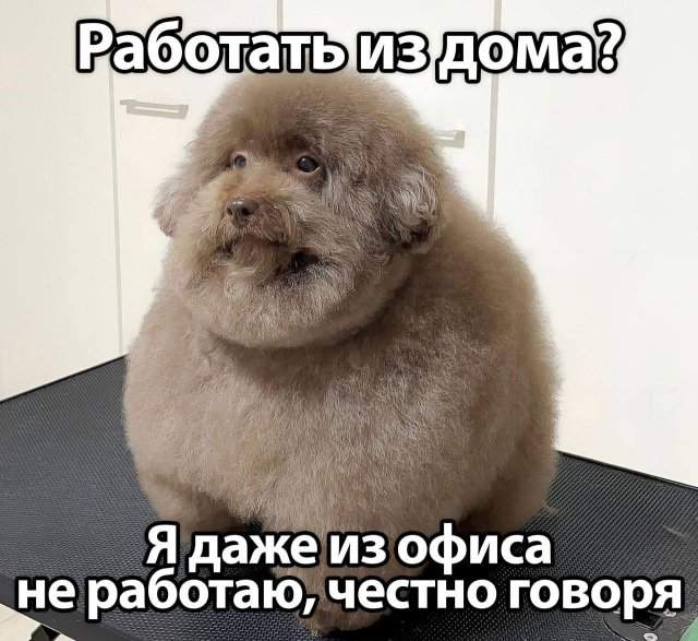Смешные мемы - 07.10.2025 Смешные мемы - 07.10.2025