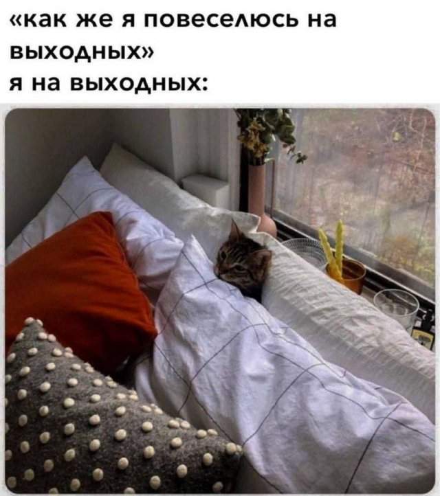 Смешные мемы - 07.10.2025 Смешные мемы - 07.10.2025