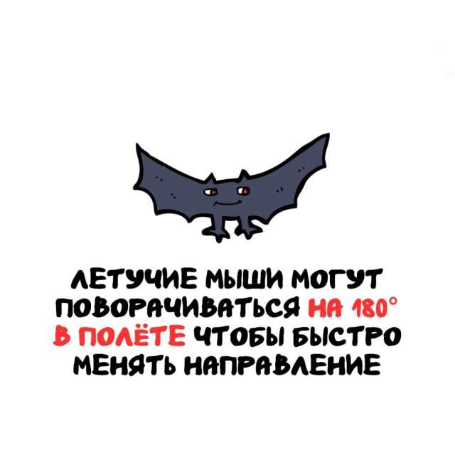 Интересные факты на все случаи жизни