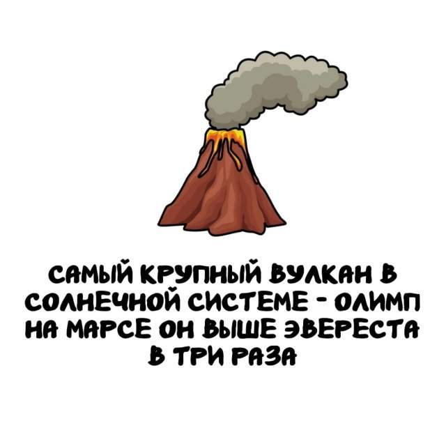 Интересные факты на все случаи жизни