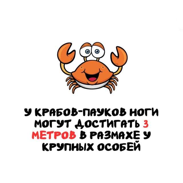 Интересные факты на все случаи жизни