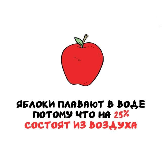 Интересные факты на все случаи жизни