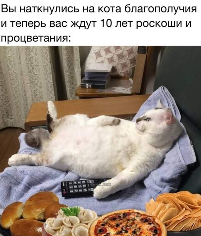 Лучшие шутки и мемы из Сети - 07.10.2025 Лучшие шутки и мемы из Сети - 07.10.2025
