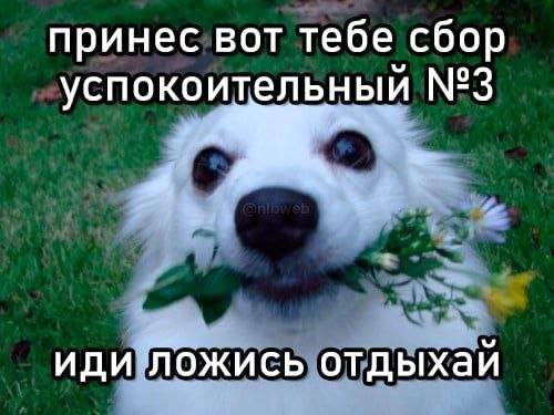 Лучшие шутки и мемы из Сети - 08.10.2025 Лучшие шутки и мемы из Сети - 08.10.2025