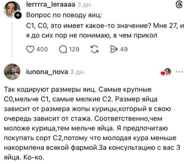 яйца, сколько яиц, вари яйца, сколько варить яйца, без яиц, яйцо куриное
