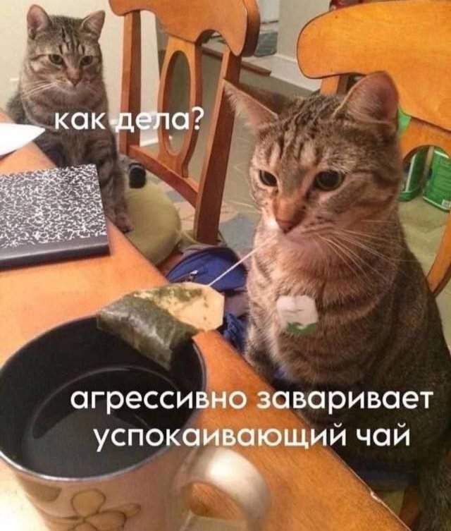 Смешные мемы - 09.10.2025 Смешные мемы - 09.10.2025