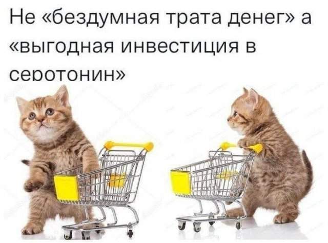Смешные мемы - 09.10.2025 Смешные мемы - 09.10.2025