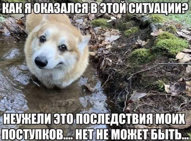 Смешные мемы - 09.10.2025 Смешные мемы - 09.10.2025