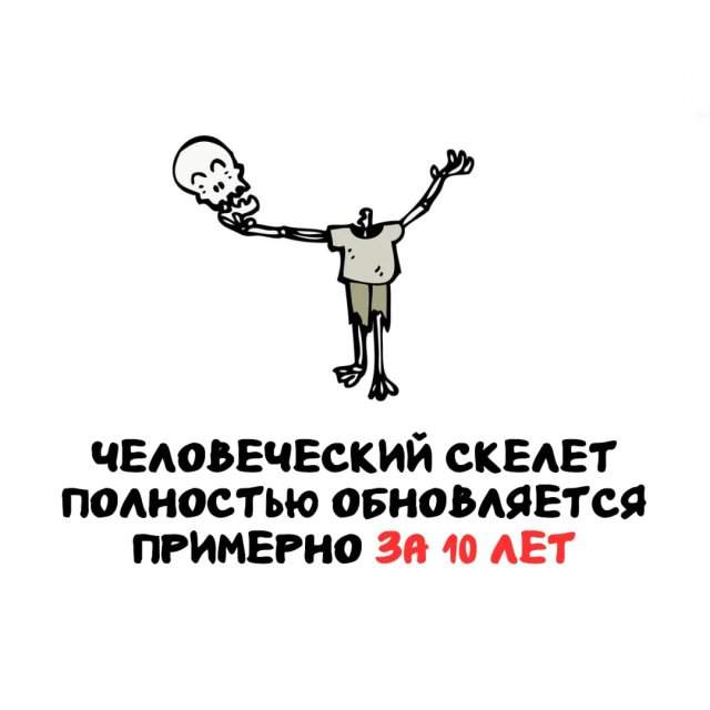 Интересные факты на все случаи жизни Интересные факты на все случаи жизни