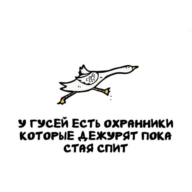 Интересные факты на все случаи жизни Интересные факты на все случаи жизни