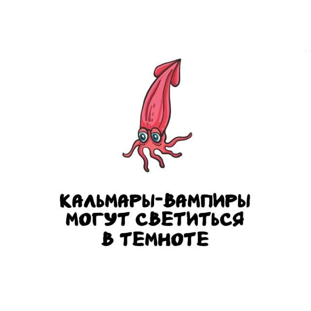 Интересные факты на все случаи жизни Интересные факты на все случаи жизни