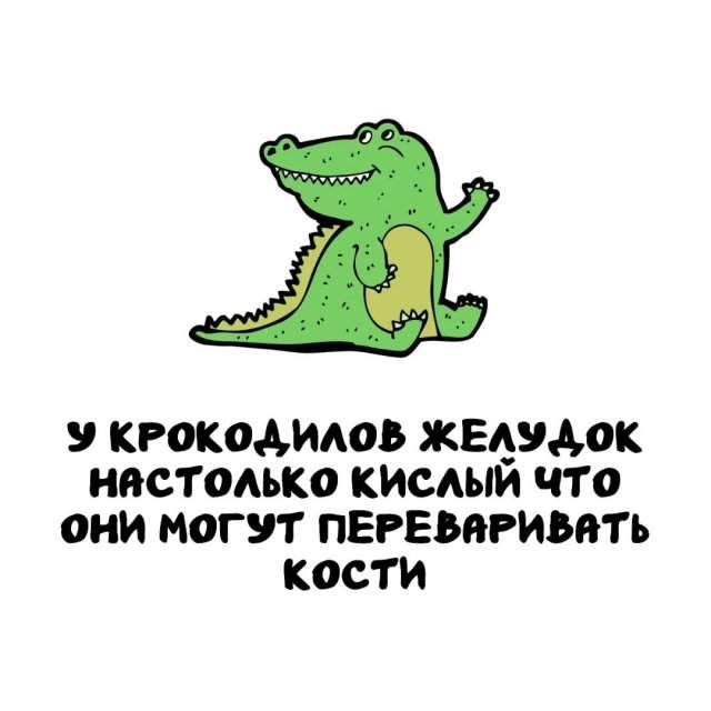 Интересные факты на все случаи жизни Интересные факты на все случаи жизни