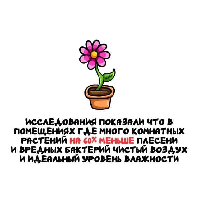 Интересные факты на все случаи жизни Интересные факты на все случаи жизни