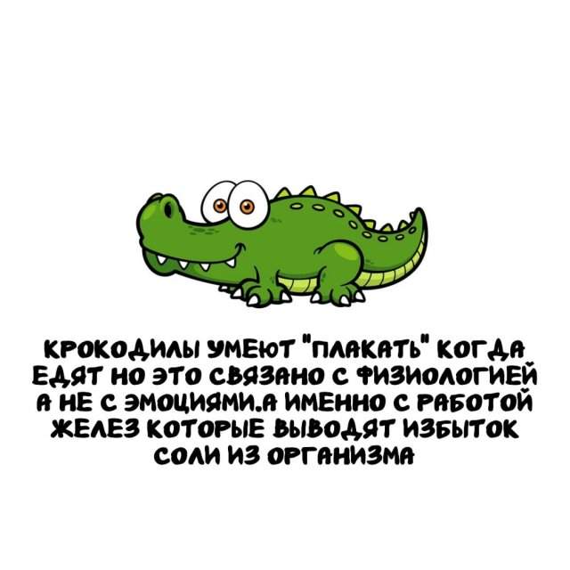 Интересные факты на все случаи жизни Интересные факты на все случаи жизни