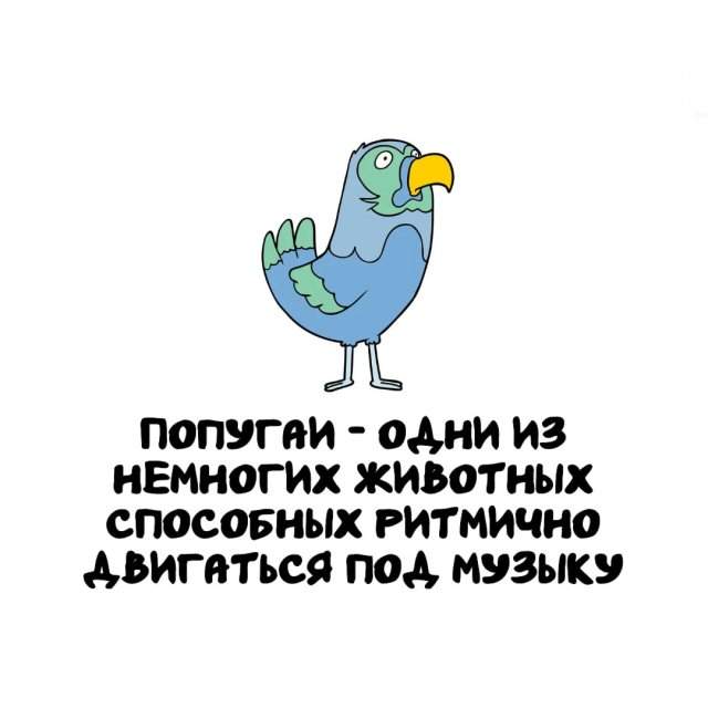 Интересные факты на все случаи жизни Интересные факты на все случаи жизни