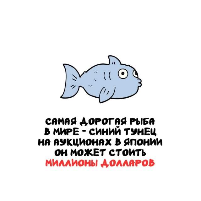 Интересные факты на все случаи жизни Интересные факты на все случаи жизни