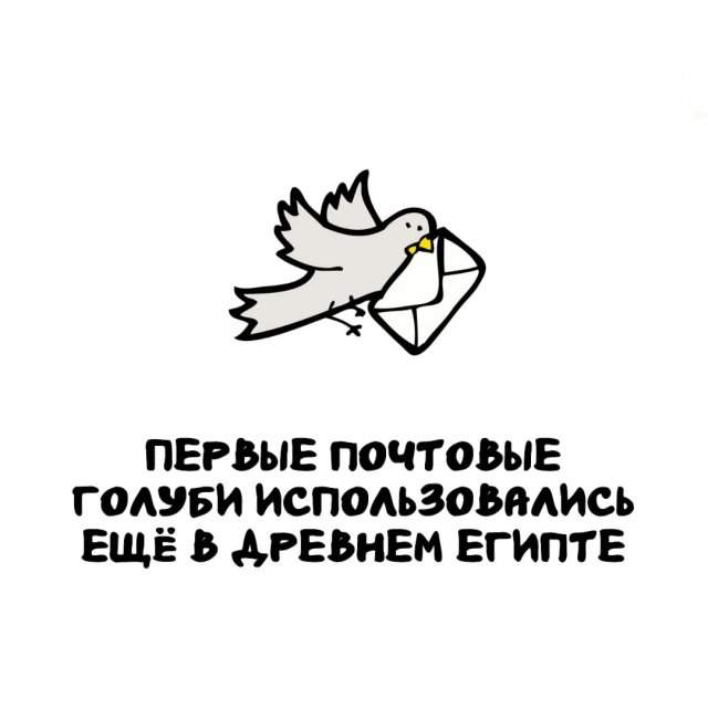 Интересные факты на все случаи жизни Интересные факты на все случаи жизни