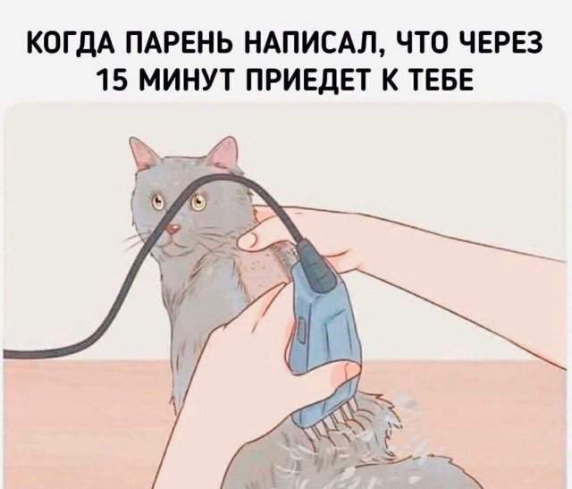 Лучшие шутки и мемы из Сети - 09.10.2025 Лучшие шутки и мемы из Сети - 09.10.2025