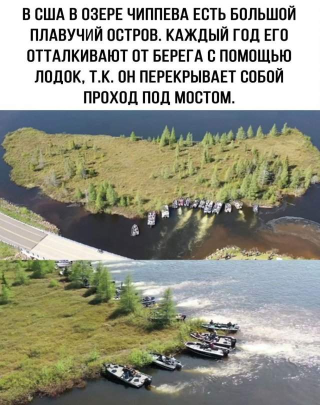 Лучшие шутки и мемы из Сети - 09.10.2025 Лучшие шутки и мемы из Сети - 09.10.2025