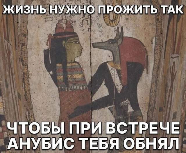 Смешные картинки - 10.10.2025 Смешные картинки - 10.10.2025