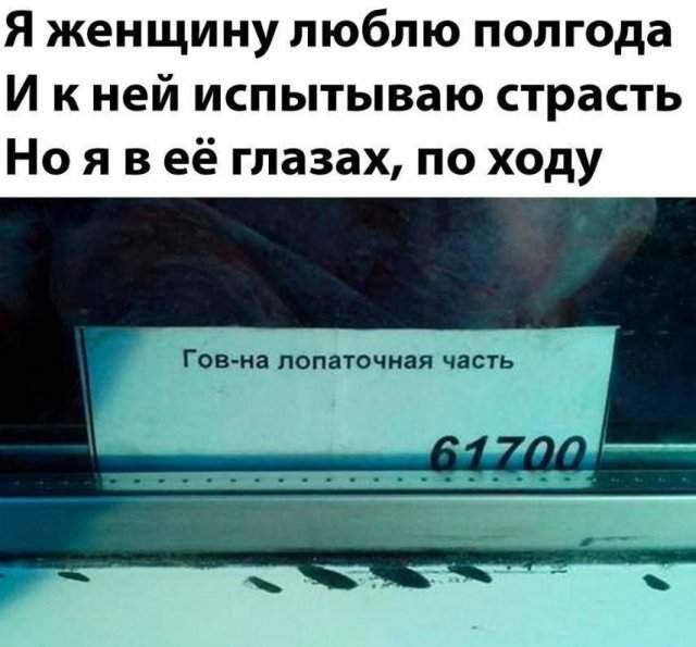 Смешные картинки - 10.10.2025 Смешные картинки - 10.10.2025