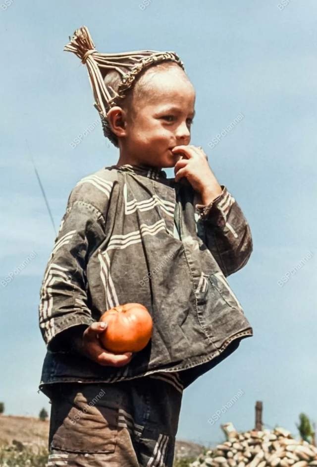 Мальчик держит помидор в колхозном поле. Украинская ССР, 1947 год. Мальчик держит помидор в колхозном поле. Украинская ССР, 1947 год.