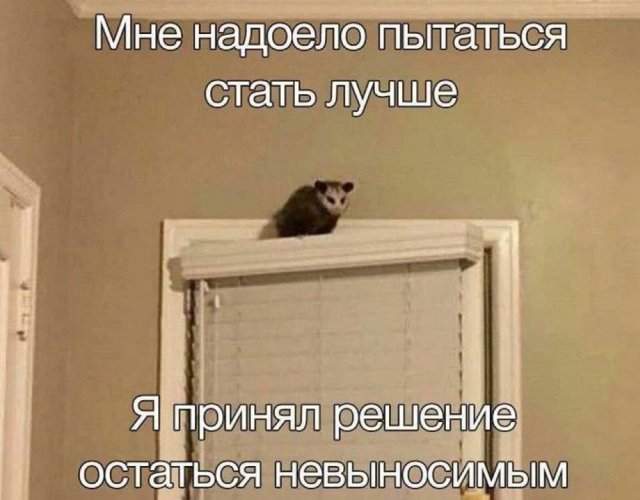 Смешные мемы - 13.10.2025 Смешные мемы - 13.10.2025