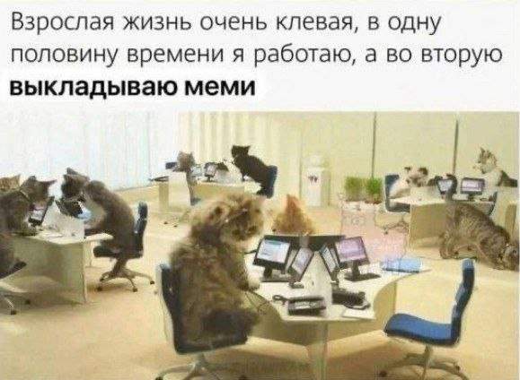 Смешные мемы - 13.10.2025 Смешные мемы - 13.10.2025
