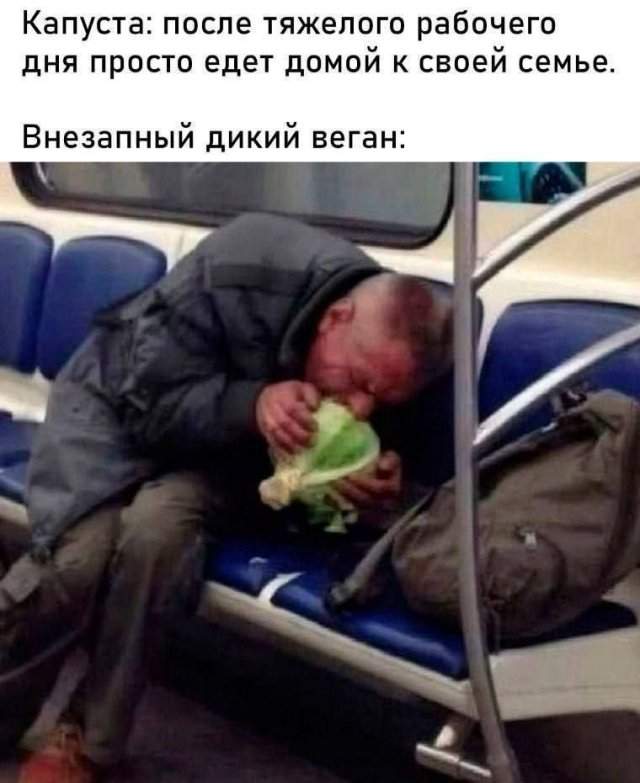 Лучшие шутки и мемы из Сети - 13.10.2025 Лучшие шутки и мемы из Сети - 13.10.2025