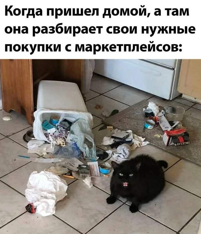 Лучшие шутки и мемы из Сети - 13.10.2025 Лучшие шутки и мемы из Сети - 13.10.2025