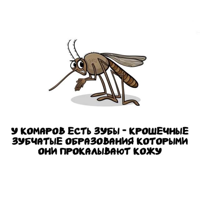 Интересные факты на все случаи жизни Интересные факты на все случаи жизни